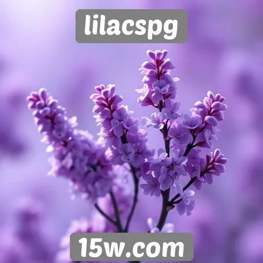 Novidades em recursos e funcionalidades do lilacspg